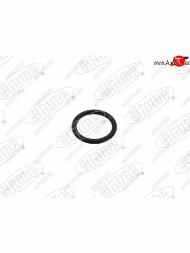 Шайба форсунки NISSAN PATHFINDER R51X-TRAIL T30NP 300 YD25YD22                                    STONE JH-08710