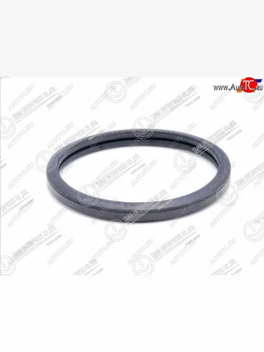 Прокладка термостата TOYOTA NZ, ZZ, ZR, AZFSE ,VZ, AZ,2GRFE TAMA P101