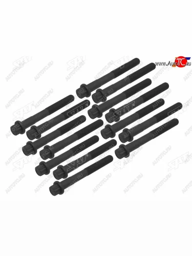 Болт ГБЦ (комплект) TOYOTA 1FZ-FE SAT ST-117-0021