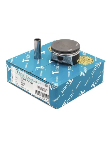 Комплект поршней с пальцами STD TEIKIN Mazda 6 GG седан дорестайлинг (2002-2005)