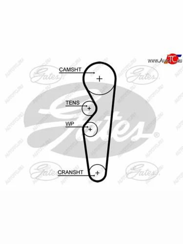 Ремень ГРМ CHERY BONUS AMULETFORD ESCORTORIONFIESTA 1,6 CVH 92-00 GATES 5665XS