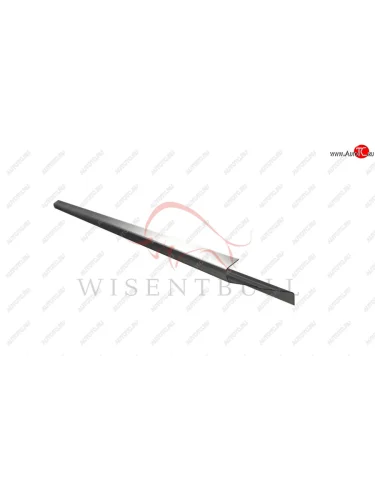 Кузовной порог(Rover 200 II (1989–1995),Rover 400 I (1990–1998))  01.rv0200xxx2.all.0.00