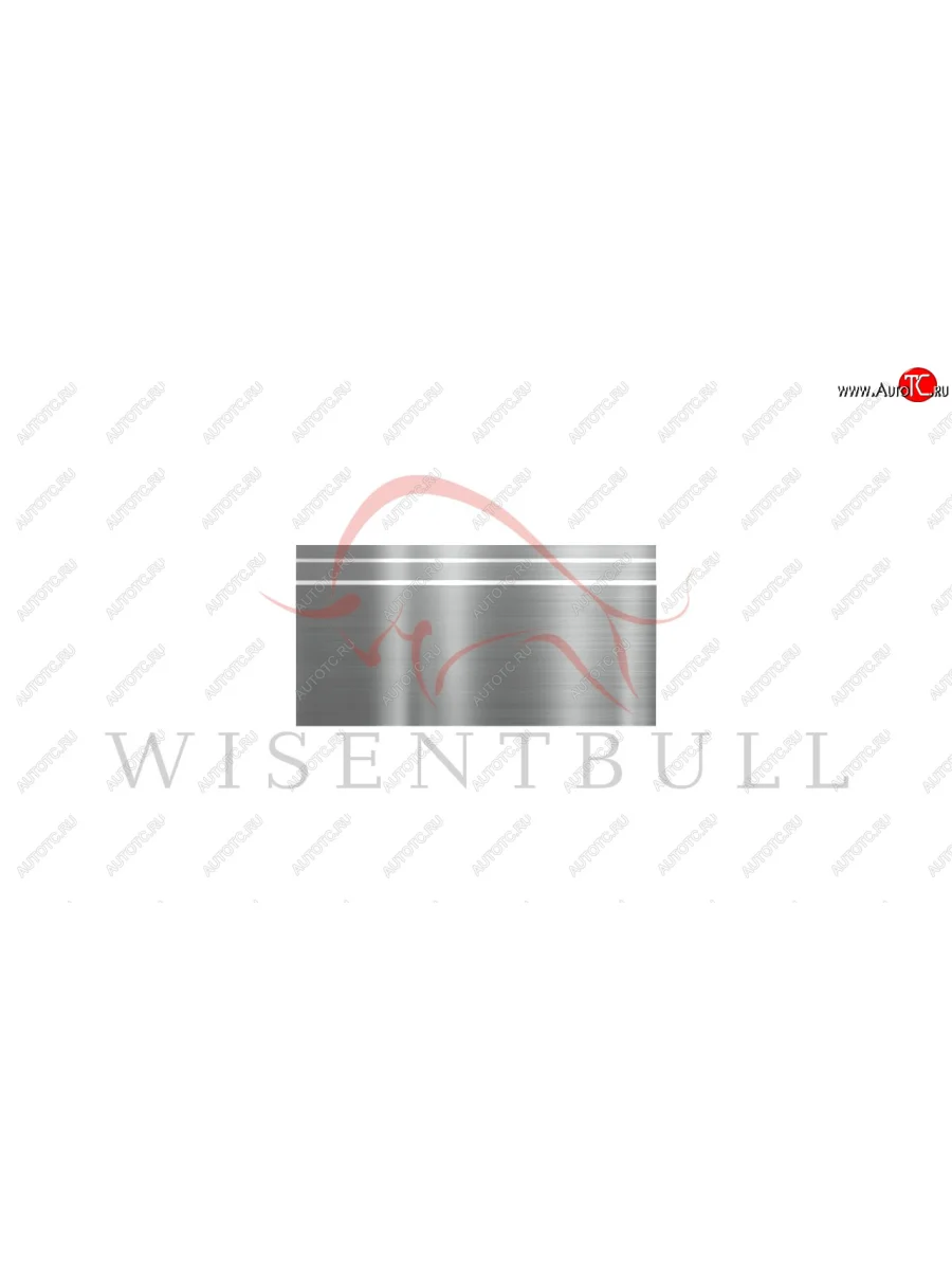 Деталь кузова(Dodge Sprinter II (2006–2009) Длинная база,Freightliner Sprinter II (2006–2018) Длинная база,Mercedes-Benz Sprinter W906 (2006–2013) Длинная база,Mercedes-Benz Sprinter W906+ (2013–2018) Длинная база,Volkswagen Crafter I (2006–2016) Длинная база)  15.mbsptrw906.lwb.r.rb  в Самаре Самарской области