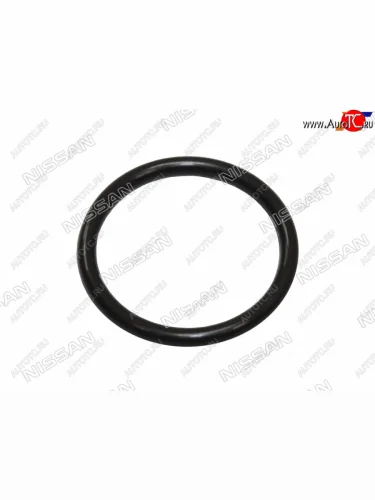 Кольцо уплотнительное лобовины NISSAN MR20DE NISSAN 15066-EN200