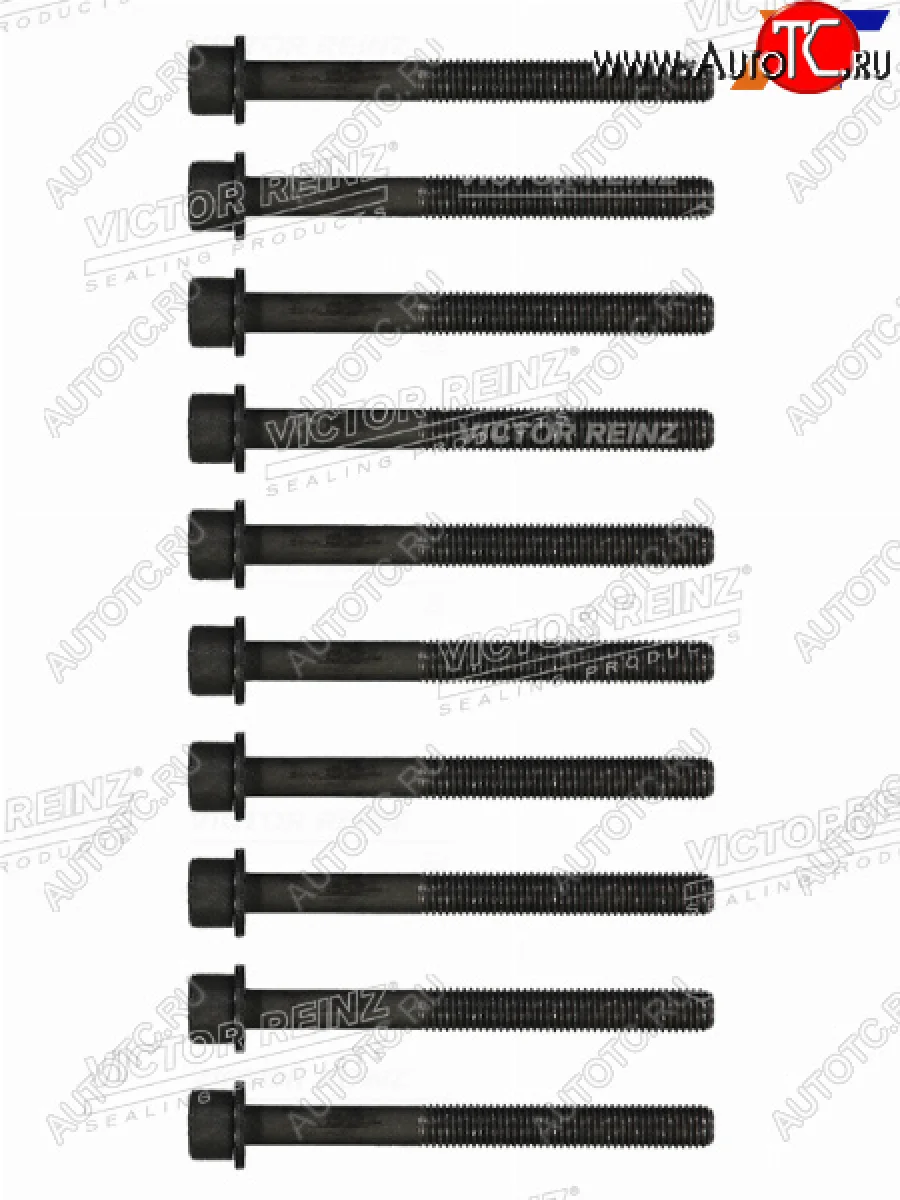 Комплект болтов ГБЦ NISSAN X-TRAIL(T30)TEANA(J31)  QR20DE VICTOR REINZ 14-55056-01  в Самаре Самарской области