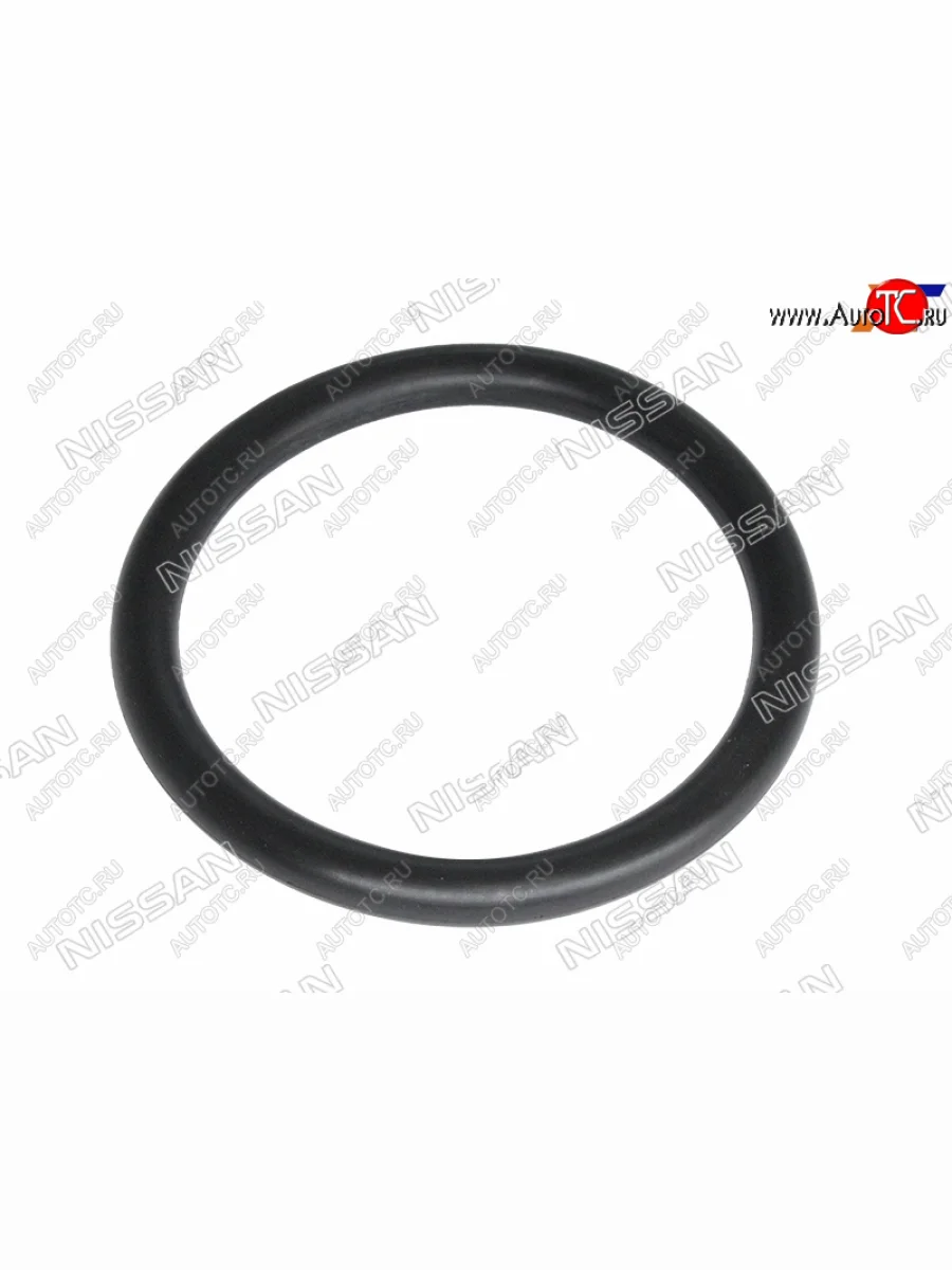 Кольцо уплотнительное дроссельной заслонки NISSAN ALMERA G15 12- NISSAN 16618-00QAB  в Самаре Самарской области