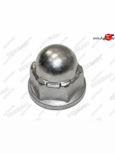 Гайка болта эксцентрика NISSAN JUKE 10-QASHQAI 06-13SERENA 05-10X-TRAIL 00-SUNNY NISSAN 54588-JG00A