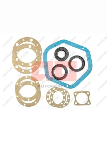 Ремкомплект заднего моста Спайсер УАЗ с сальниками Autogur73 ag.3160-2401000рк