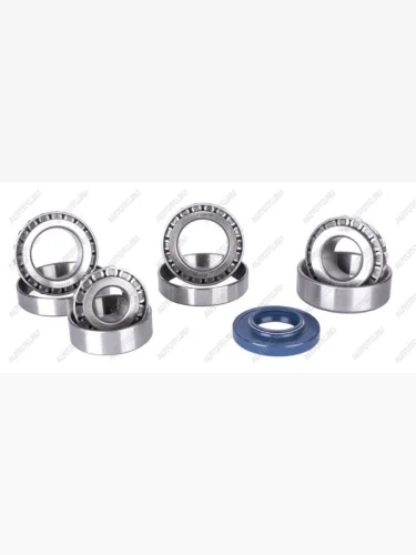 Ремкомплект редуктора моста Спайсер УАЗ полный (4 подшипника+1 сальник) Autogur73 es727329к