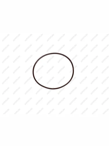 Уплотнительное кольцо актуатора блокировки HF RD110  sl-rd110