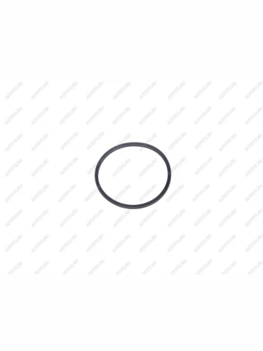 Уплотнительное кольцо актуатора блокировки HF RD131  sl-rd131