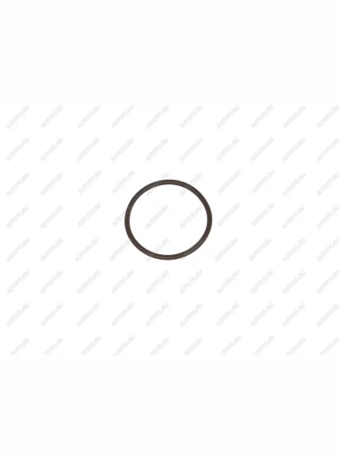 Уплотнительное кольцо актуатора блокировки HF RD181  sl-rd181