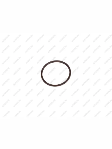 Уплотнительное кольцо актуатора блокировки HF301  sl-hf301