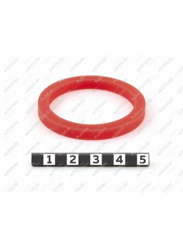 Прокладка крышки канистры Экстрим 5 мм (красная)  33-01-408