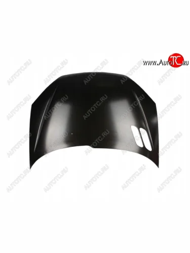 206 КАПОТ (Тайвань) TYG pg20698-330