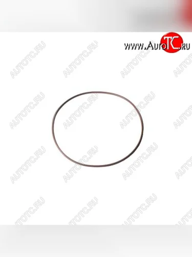 Кольцо уплотнительное M11, QSM11 2863702 (Оригинал) CUMMINS 14802