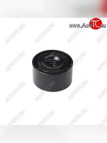 Ролик промежуточный WP7 610800060494 CUMMINS 50244