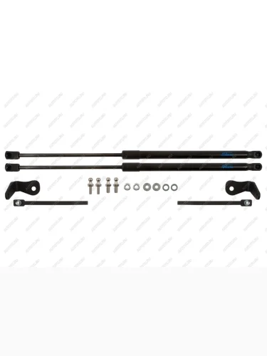 Упоры капота для FORD Focus, 2004-2008, к-т 2 шт  Форд Фокус Arbori arbori.hd.012103