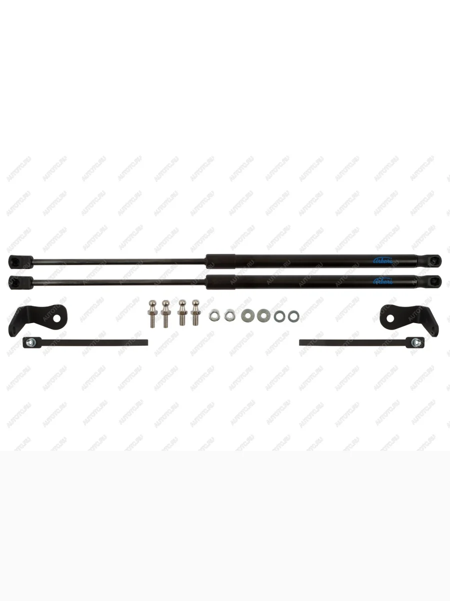 Упоры капота для FORD Focus, 2004-2008, к-т 2 шт  Форд Фокус Arbori arbori.hd.012103  с доставкой в г. Керчь