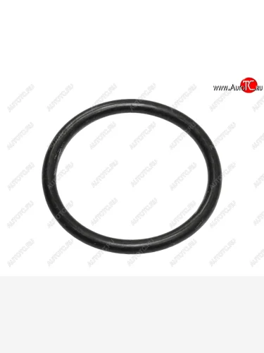 Кольцо уплотнительное лобовины малое NISSAN QR25DE NISSAN 15066-6N202