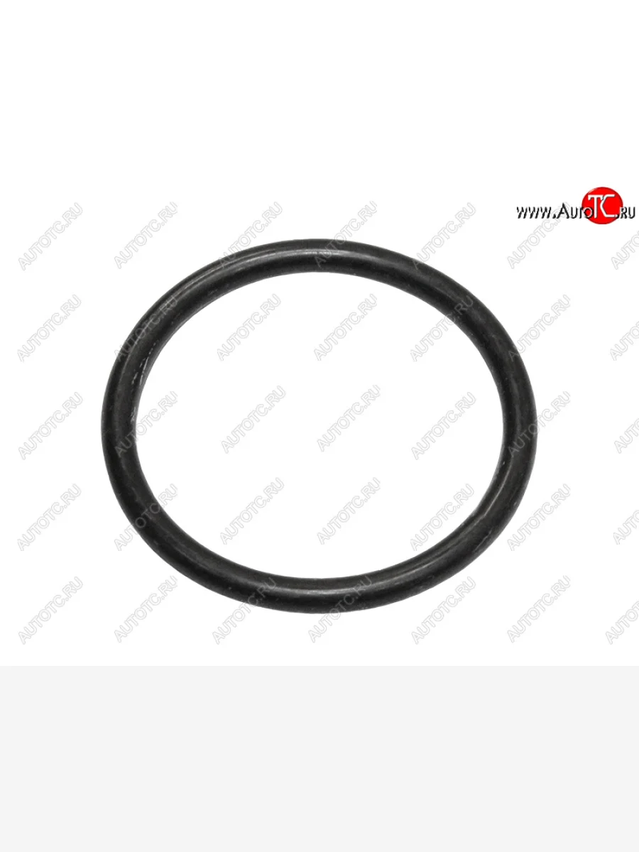 Кольцо уплотнительное лобовины малое NISSAN QR25DE NISSAN 15066-6N202  в Самаре Самарской области