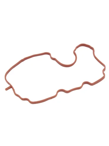 Прокладка вентиляция картера VAG PASSATTIGUANOCTAVIA  BZBCABACCZACDNCCBFACDNB SAT ST-161-0014