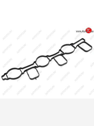 Прокладка впускной коллектор VAG TOUAREG CASACASCBKSCATA SAT ST-74-0056