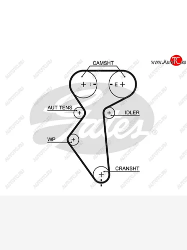 Ремень ГРМ DAEWOO LANOS 1.6 97-LACETTI 1.41.6 04-CHEVROLET REZZO 1.6 05- GATES 5419XS