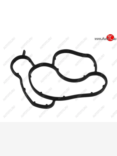 Прокладка корпуса масляного фильтра BMW 3(E90)5(E60) N43 B20A SAT ST-189-0005