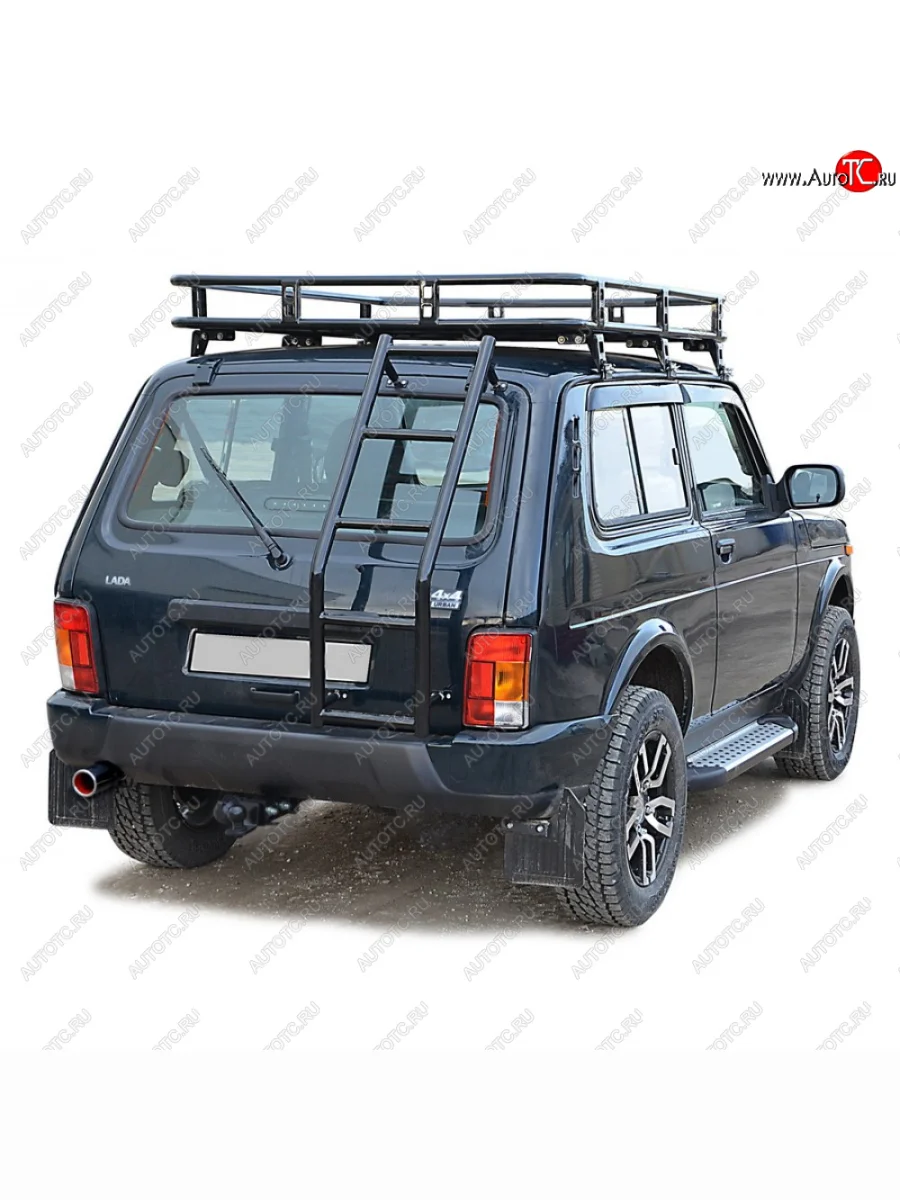Лестница «Трофи» на заднюю дверцу  21214, URBAN 4x4  0349  В Кинешме Ивановской области