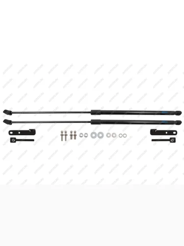 Упоры капота для FAW Bestune T55, 2021-  ФАВ Бестюн Т55 Arbori arbori.hd.058103