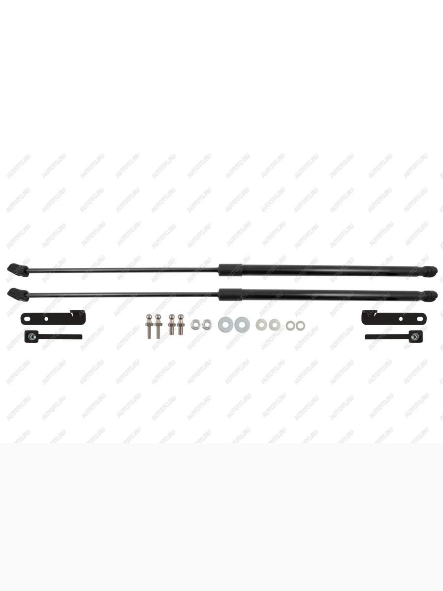 Амортизаторы капота для FAW Bestune T55, 2021-  ФАВ Бестюн Т55 EASYLIFT easylift 058.103  в Самаре Самарской области