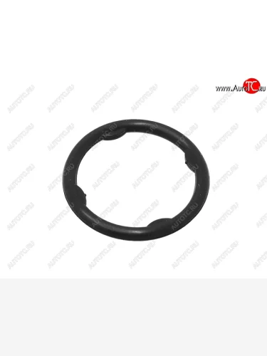 Кольцо уплотнительное передней крышки NISSAN WINGROADEXPERTPRIMERA QG151618 NISSAN 21049-4M500