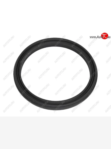 Прокладка термостата HYUNDAI TUCSON 2,0 04-10SANTA FE 2,4 10-KIA SORENTO 2,42,5 06- HYUNDAI 25633-2G000