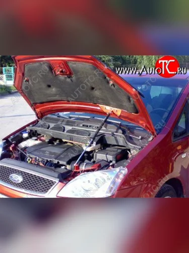 Упор капота Ford Focus C-Max (2003-2010) ТехноМастер ТехноМастер 8231.5500.04