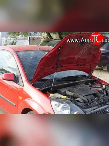 Упор капота Ford Fiesta V (2001-2009) ТехноМастер ТехноМастер 8231.5900.04