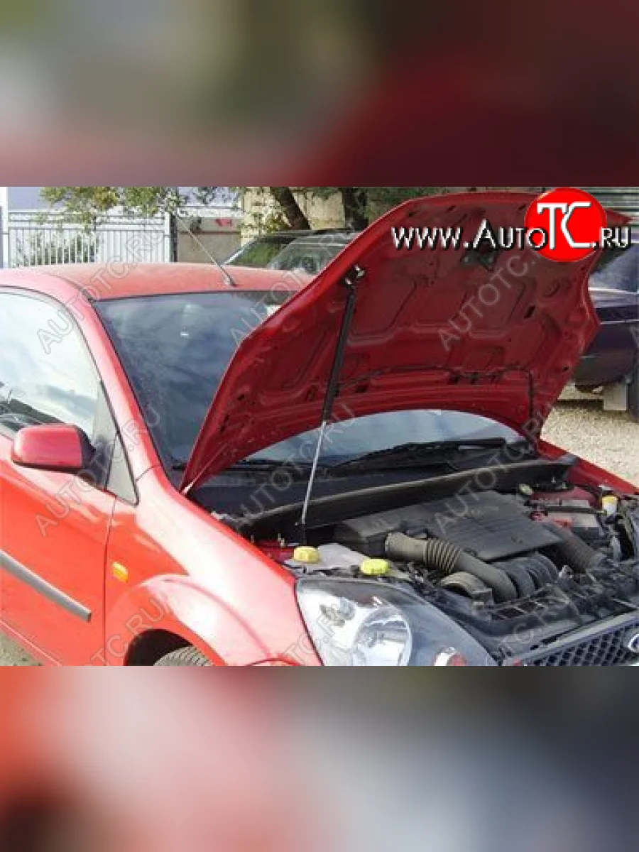 Упор капота Ford Fiesta V (2001-2009) ТехноМастер ТехноМастер 8231.5900.04  в Самаре Самарской области