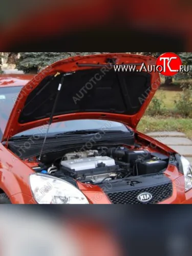 Упор капота Kia Rio II (2005-2011) ТехноМастер ТехноМастер 8231.6900.04