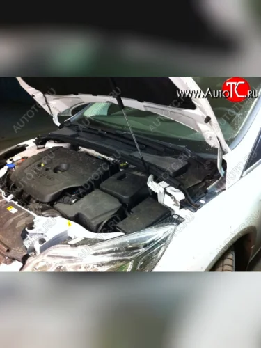 Упор капота Ford Focus III (2011-н.в.) ТехноМастер ТехноМастер 8231.7700.04