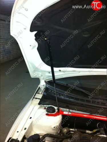 Упор капота Kia Cerato II (2009-2013) ТехноМастер ТехноМастер 8231.8900.04