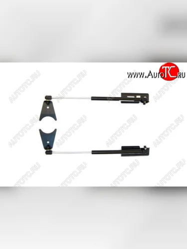 Упор капота Nissan Teana II (2008-) ТехноМастер (2 шт) ТехноМастер 8231.3300.04