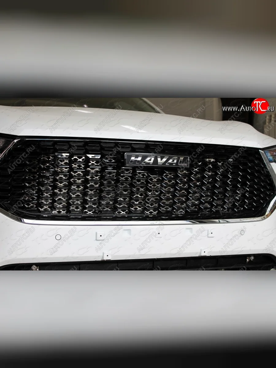 Вставка решетки радиатора (нерж. лист) ТСС Тюнинг Haval F7  дорестайлинг (2018-2022)  в Керчи Республика Крым