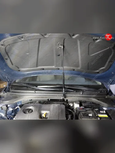 Упор капота ТСС Тюнинг HYUNDAI Elantra 2016-  hyunela1601y