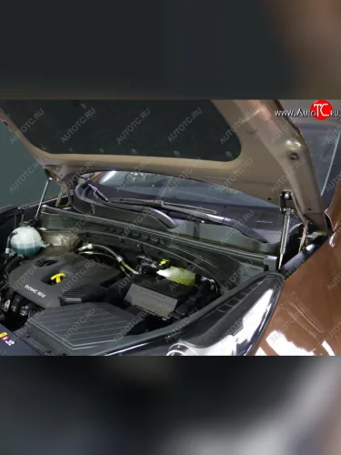 Упор капота (комплект) ТСС Тюнинг KIA Sportage QL 2018-  kiasport1825y