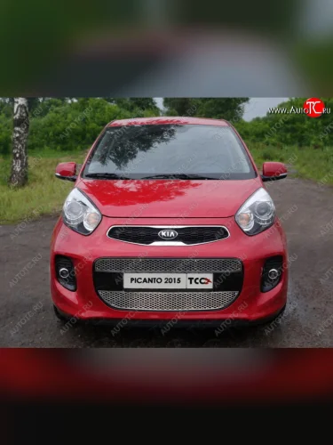Вставка переднего бампера верхняя (нерж. лист) ТСС Тюнинг KIA Picanto ( 2 TA хэтчбэк 5 дв.,  2 TA хэтчбэк 3 дв.) (2011-2017) дорестайлинг, рестайлинг