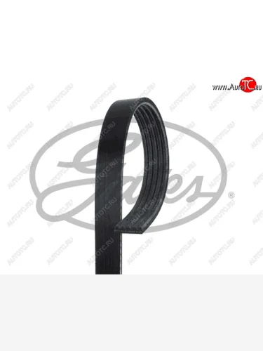 Ремень поликлиновой RENAULT LOGANSANDEROSYMBOLMEGANE 1.41.6 MT (ALT+PS+AC) GATES 5PK1750