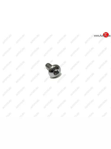 Болт 6 мм  пм-00004362