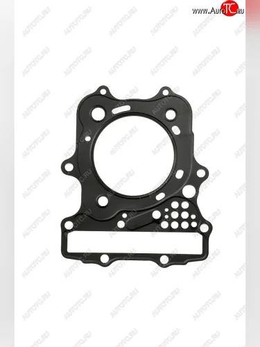 Прокладка ГБЦ CHAKIN Honda VT1100C2 95-07, VT1100C3 98-02, VT1100T 98-01 12251-MAH-003  100h-033