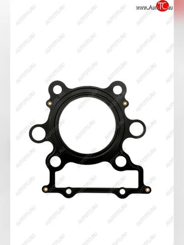 Прокладка ГБЦ CHAKIN Yamaha FJ1200 86-93, XJR1200 94-98 1TX-11181-00-00  100y-006