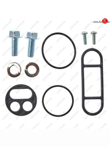 Ремкомплект Топливного крана BWX (60-1000)  fck90013